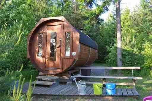 En stuga i skogen omgiven av frodig grönska på en camping i Tiveden.