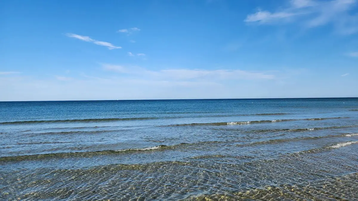 Alt-text: En vy över stranden vid Borrbystrand Camping, där det blå havet möter horisonten under dagtid.