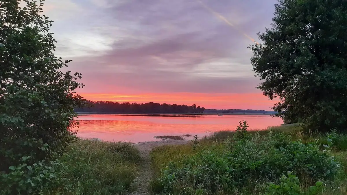 Upplev idyllen vid E4:ans Camping: lugn oas vid sjön Vidöstern, mitt i Smålands natursköna landskap. Perfekt för avkoppling!