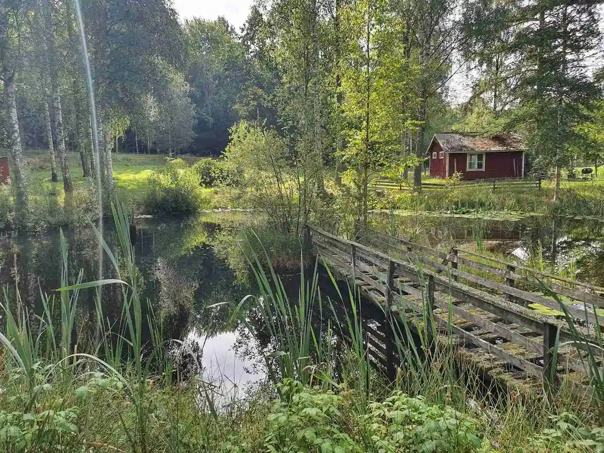 En naturskön vy över ett vattendrag omgiven av frodig grönska och träd vid Hjorthalan Camping.