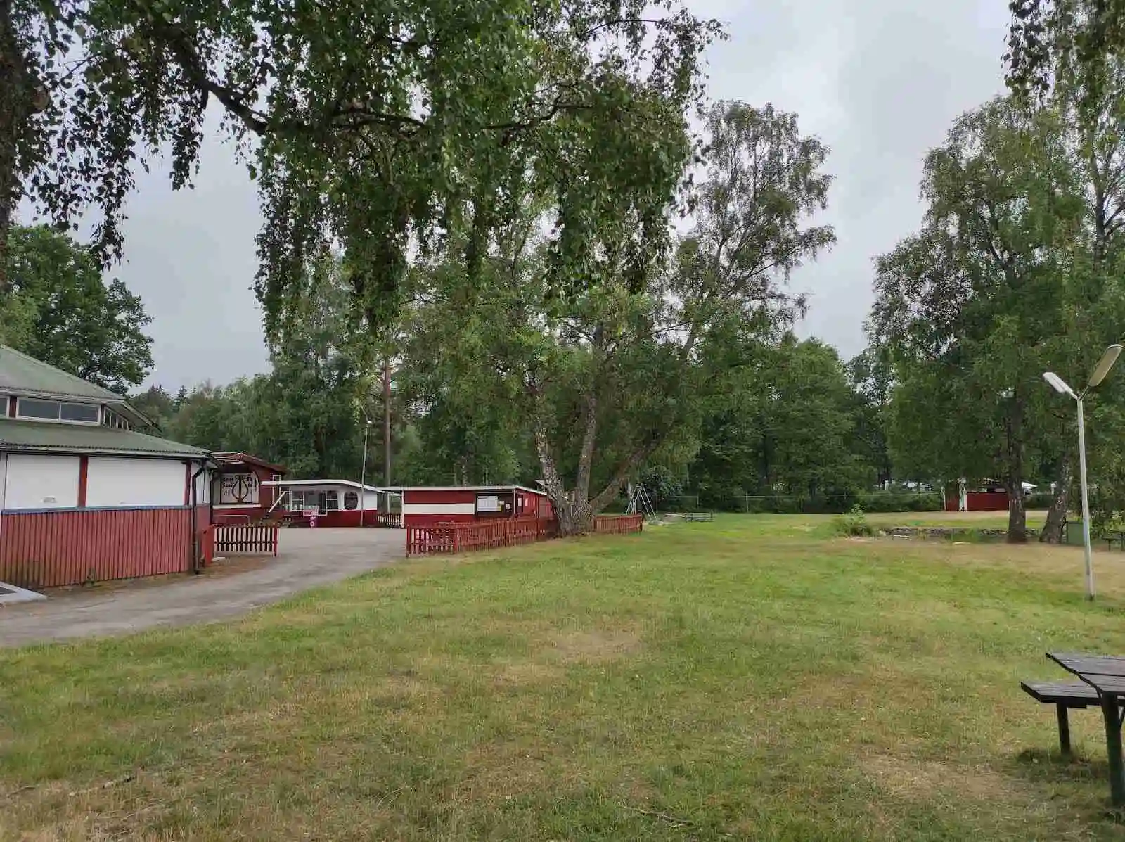 En frodig grön campingplats vid Hätteboda vildmarkscamping, omgiven av träd och gräs, med öppna ytor för tält och avkoppling i skuggan.