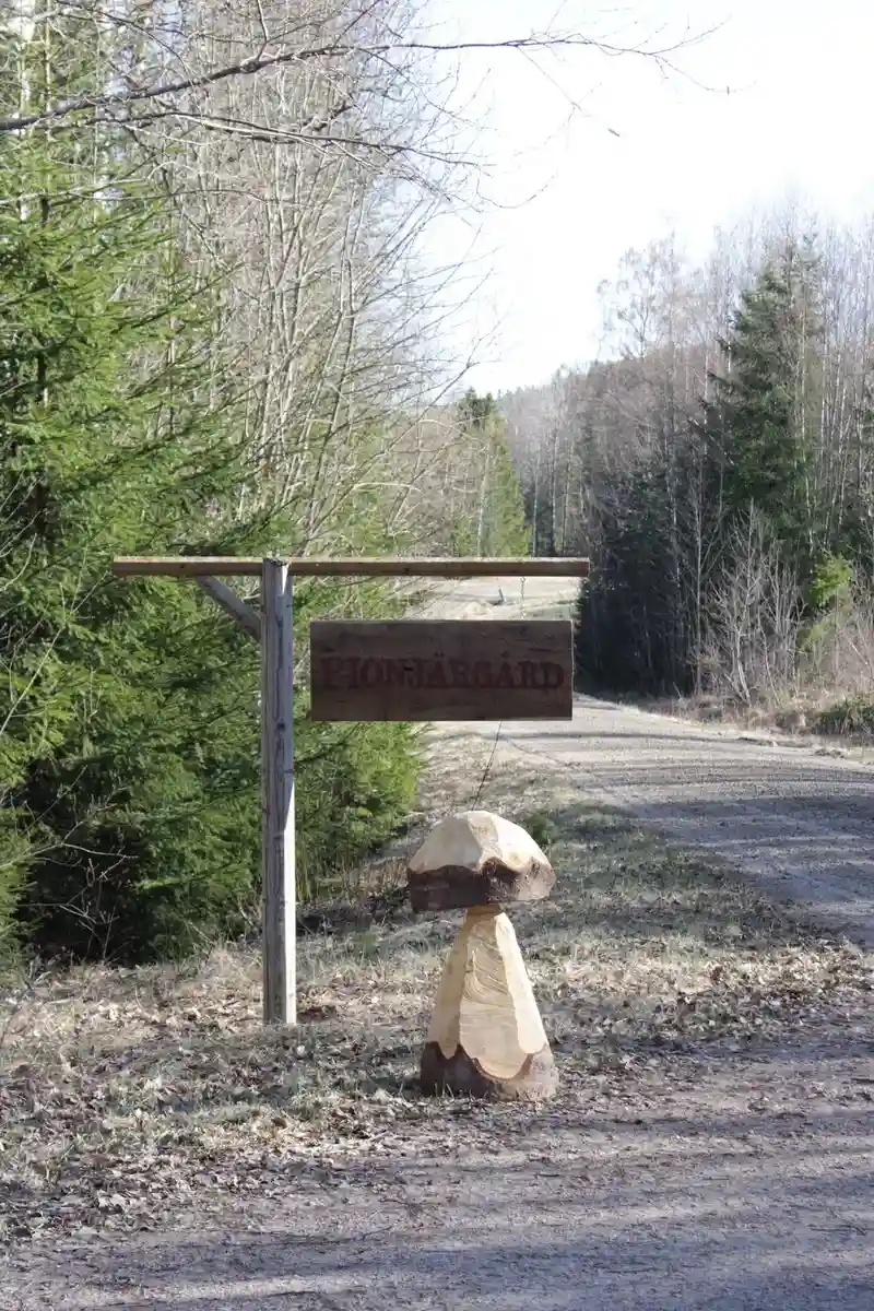 Pionjärgård i Värmland: En charmig oas vid bäckens kant, omgiven av skog. Perfekt för avkoppling och äventyr! 🌲🌿