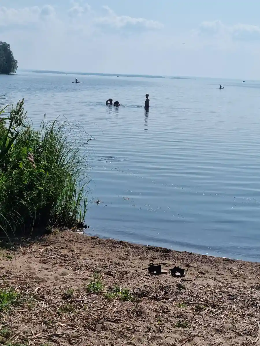 En sommarbild av Herrfallet AB med en klar sjö och en sandstrand i förgrunden. Perfekt för rekreation och avkoppling vid vattnet.