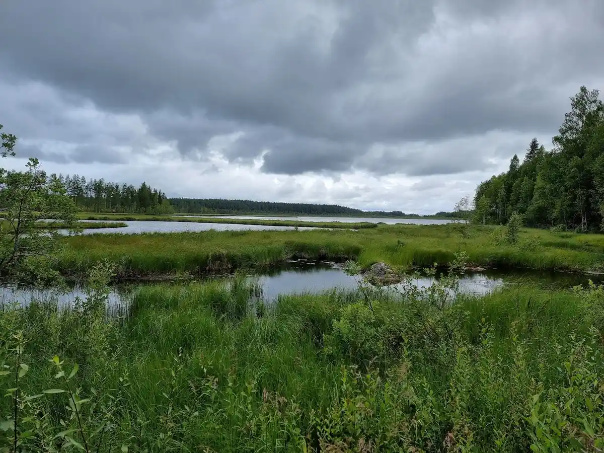 En grönskande värmländsk gård omgiven av ett naturlandskap med en damm och omgivande ängar under en halvmolnig himmel.