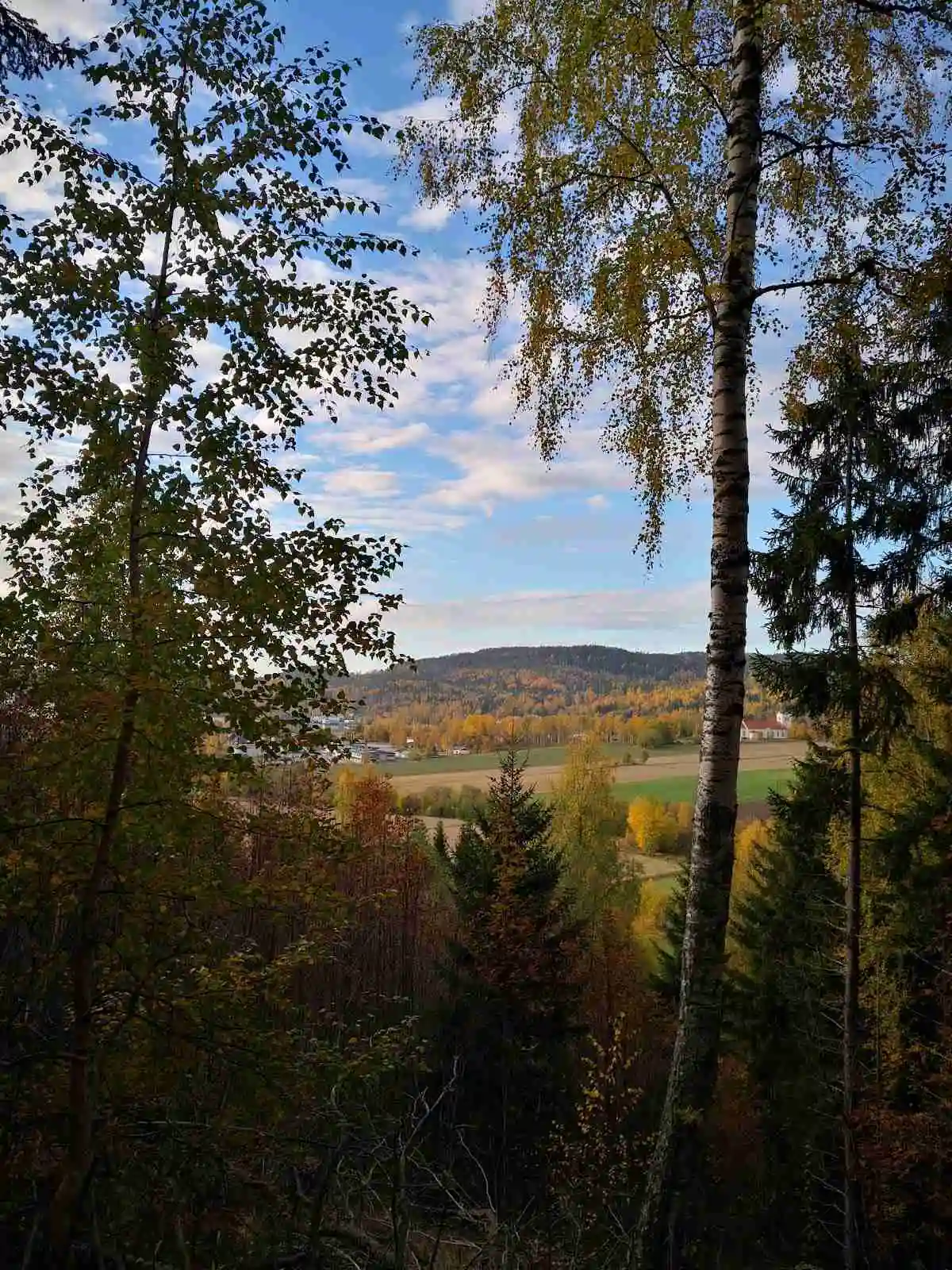 Bild av en naturskön ställplats vid Gällstasjön. Området är omgivet av frodig grönska med träd och löv i olika nyanser av grönt och gult, vilket skapar en lugn och inbjudande miljö.