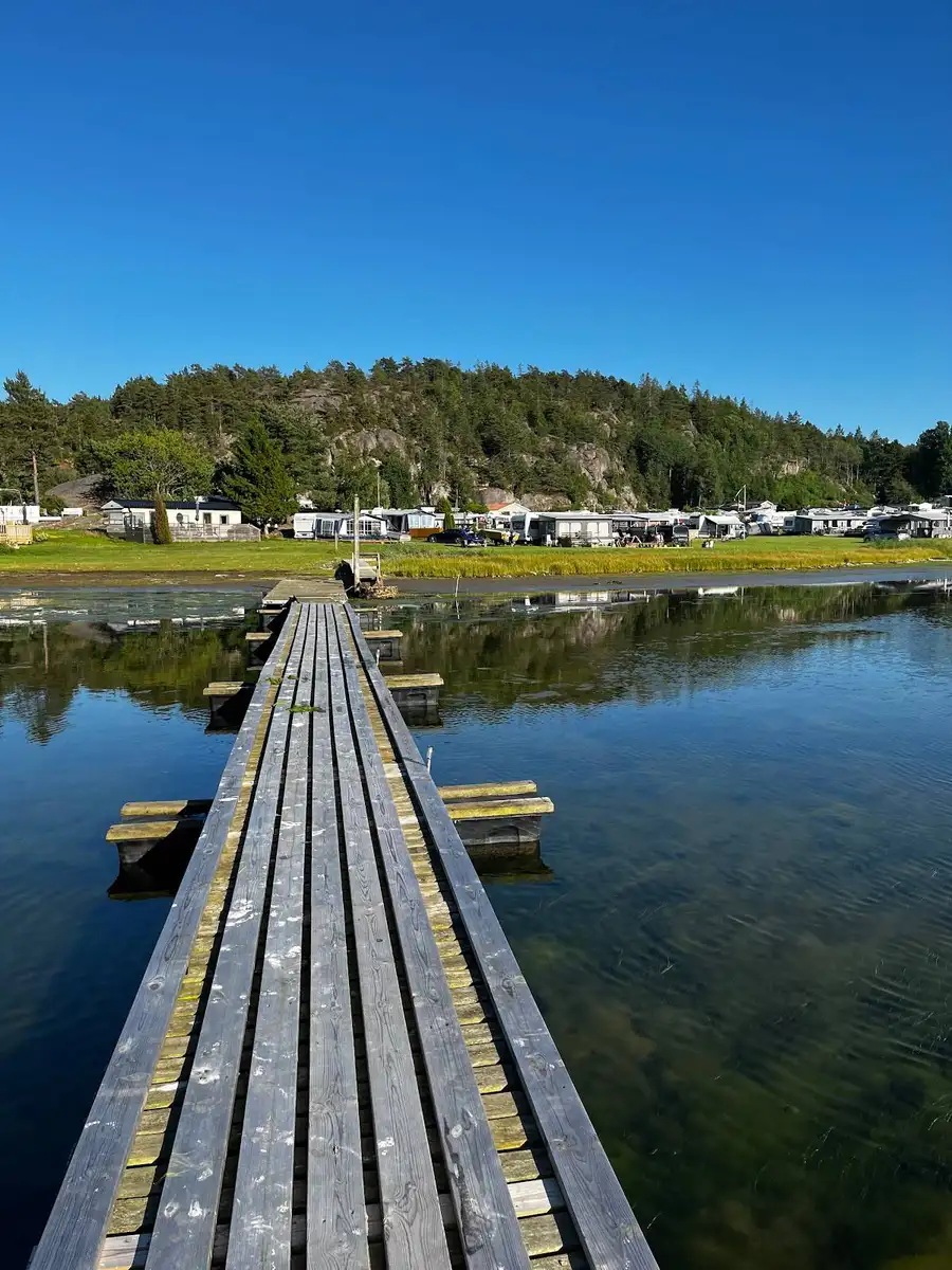 En sjö med stilla vatten där en liten brygga sträcker sig ut. Träd kantar strandkanten och speglas i det klara vattnet.