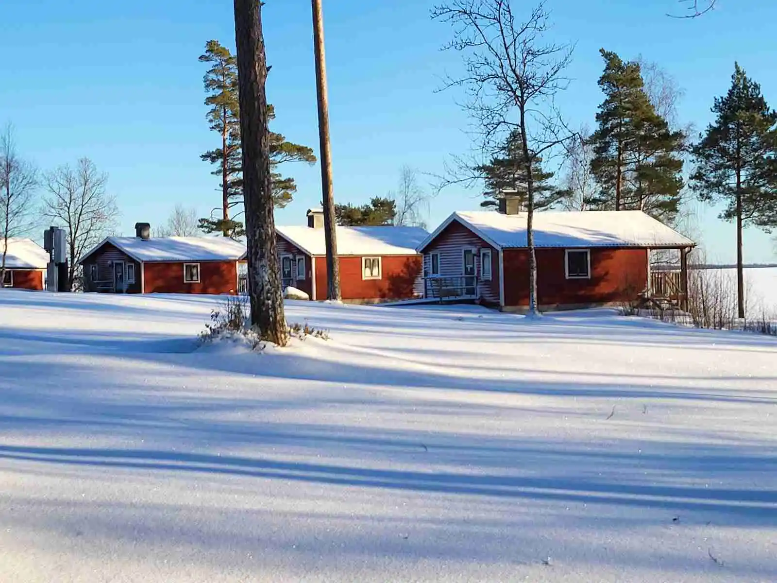 En snötäckt stuga omgiven av vinterklädda träd på Löckna camping.