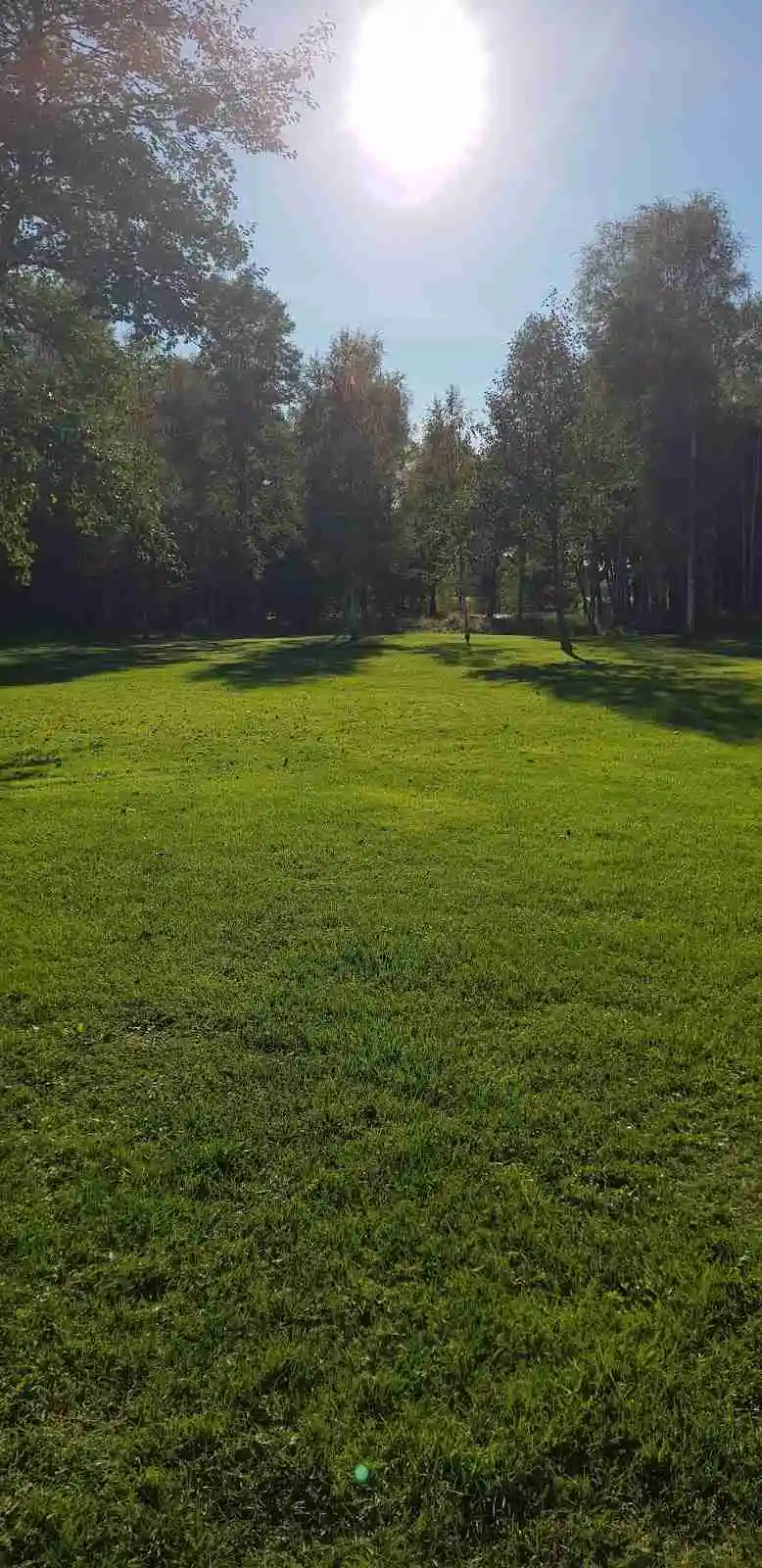 En grön, öppen gräsplan på Kapellskärs camping, omgiven av naturlig miljö med gräs och lövverk.