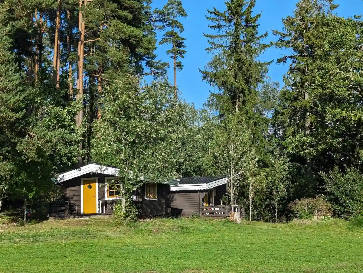 En liten stuga omgiven av frodig växtlighet i Hallsjö vildmarkscamping, med träd, buskar och gräs i en lantlig och naturnära miljö.