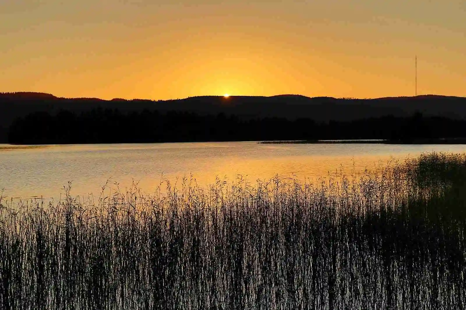 En stilla sjö med vassrugg i förgrunden och en färgglad solnedgång i horisonten, omgiven av grönskande våtmark.