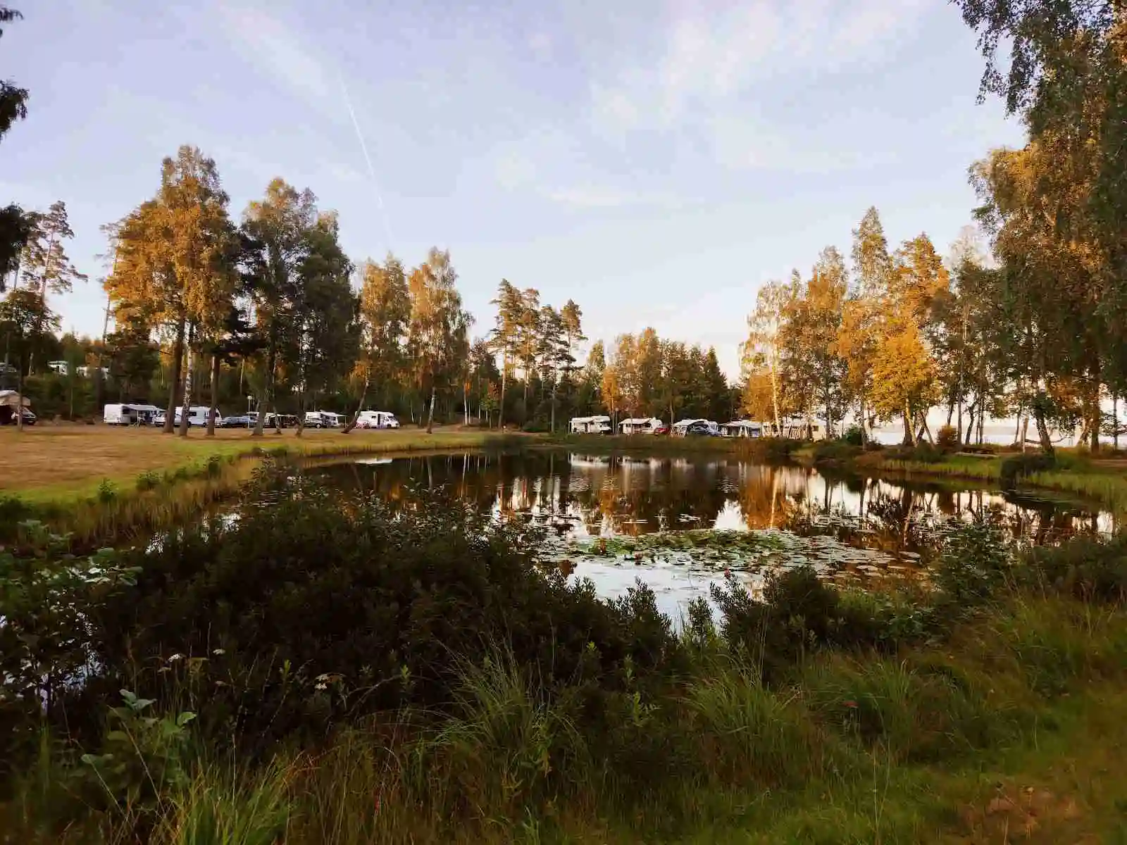 En naturskön vy över Löckna camping som visar en stilla sjö i ett öppet landskap med omgivande parkmiljö och våtmarker.