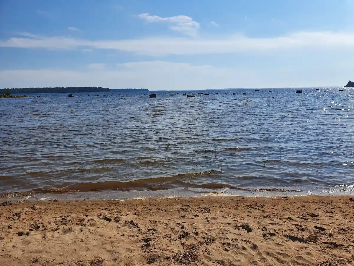 En sandstrand vid Rörbäcks camping och havsbad med blått hav under en klar himmel i somrig miljö.