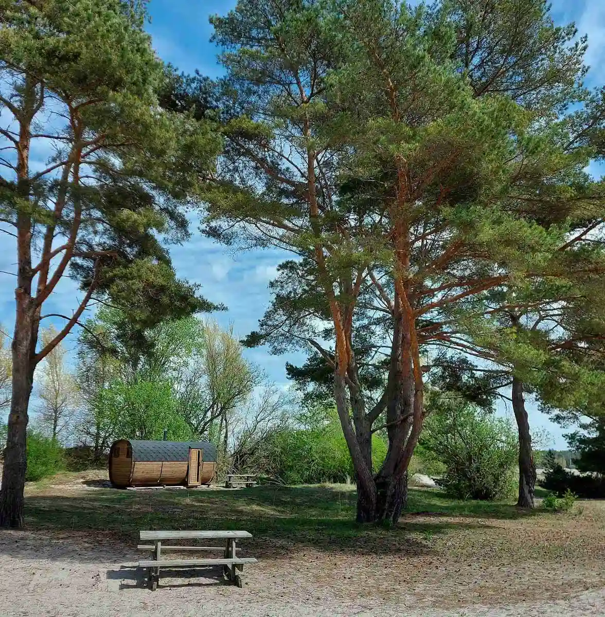 En öppen plats med träd i bakgrunden, inklusive barrträd och lövträd, med en öppen yta under en klar himmel, vilket kanske föreslår en park eller fritidsområde.
