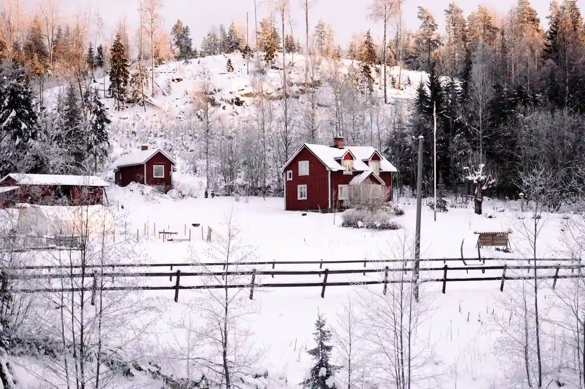 En snöig vinterdag vid Pionjärgården med ett pittoreskt hus omgivet av trädgrenar täckta av snö.