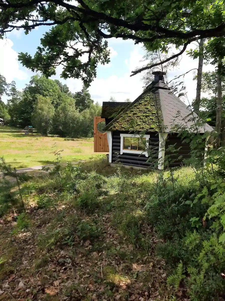 Njut av lugnet och äventyret på Hallsjö vildmarkscamping, där natur och bekvämlighet möts på en pittoresk halvö.