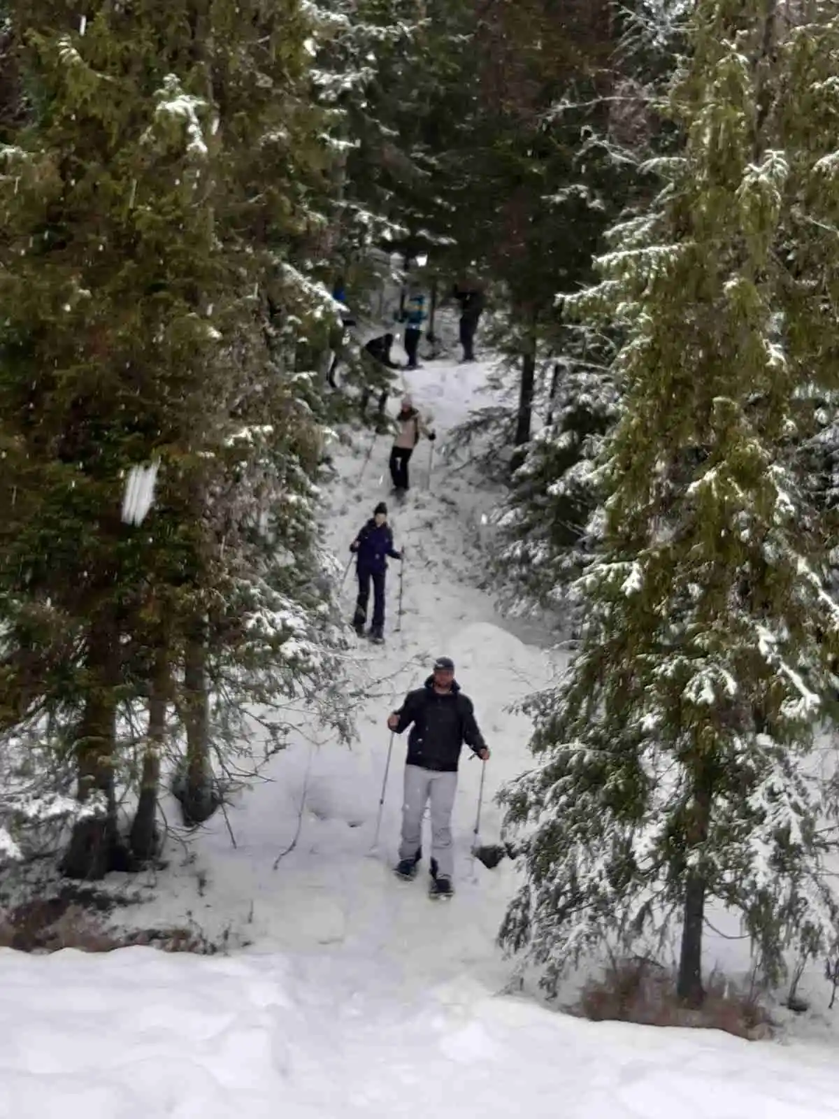 En vinterlandskap med snö där människor engagerar sig i vintersporter, utrustade med skidutrustning och skidstavar. Perfekt för friluftsaktiviteter på Yttermalungs camping & stugby.