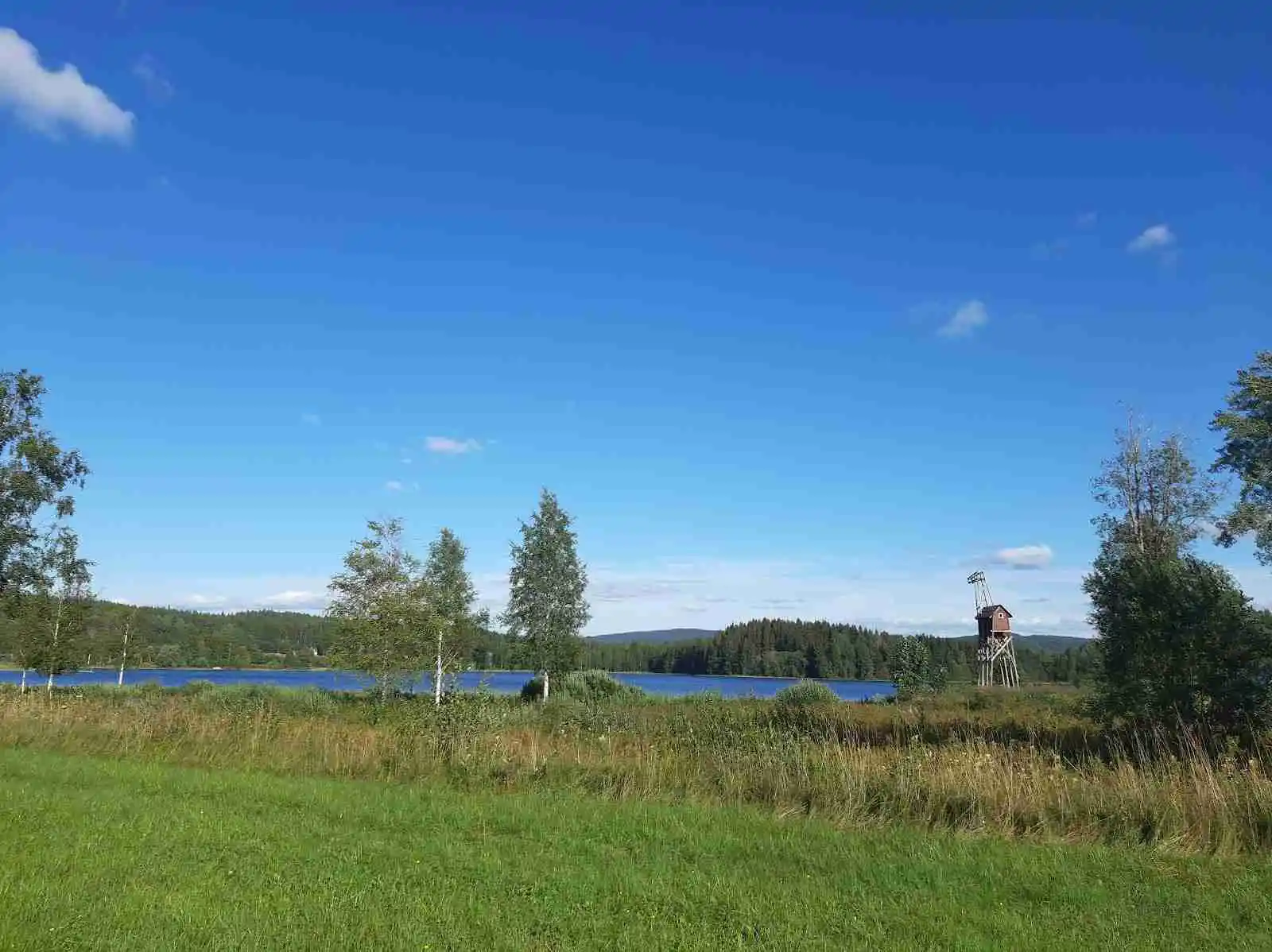 En somrig landskapsbild från Sörälgens camping med grönskande ängar och en klar blå himmel i bakgrunden.
