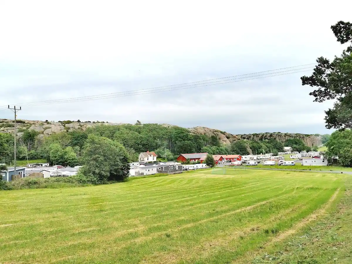 En vidsträckt grön gräsmatta omgiven av träd och växtlighet vid örns camping, med en lantlig och naturskön omgivning.