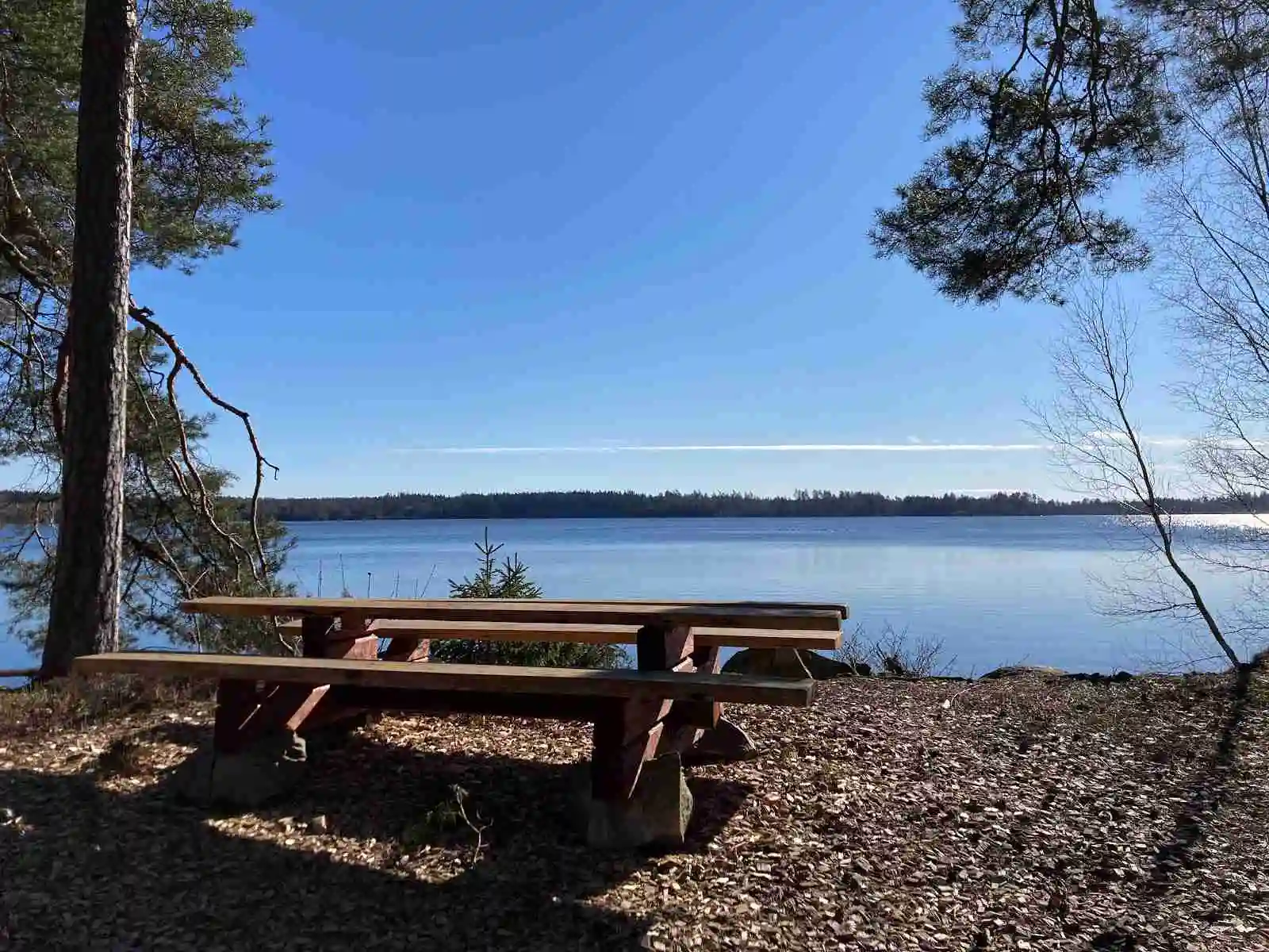 En träbänk och ett picknickbord står vid sjöns strand på Norraryds camping, omgivna av skog och en lugn vattenyta.