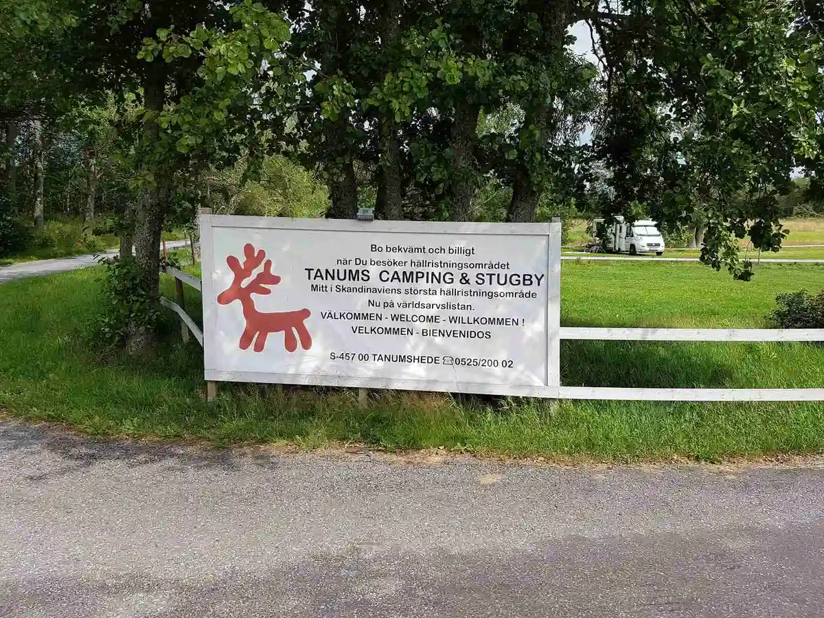 En skylt vid en grusväg visar ingången till Tanums Camping och Stugby, omgiven av gröna träd och grönska.