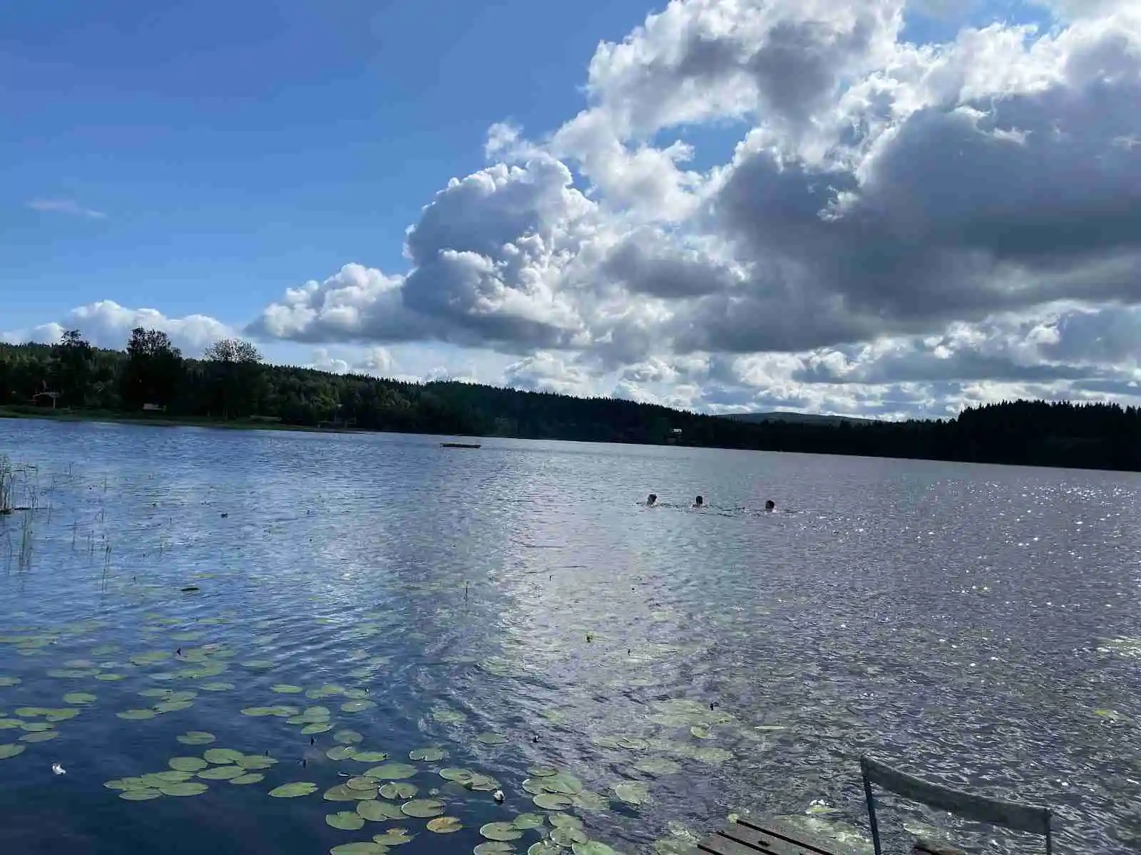 En sjö med klart blått vatten under en himmel med vita moln, omgiven av grönska runt Sörälgens camping.