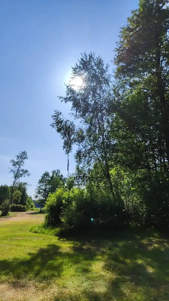 En grönskande campingplats med blå himmel, gräsytor och omgivande träd, fångar en solig dag på E4:ans camping.