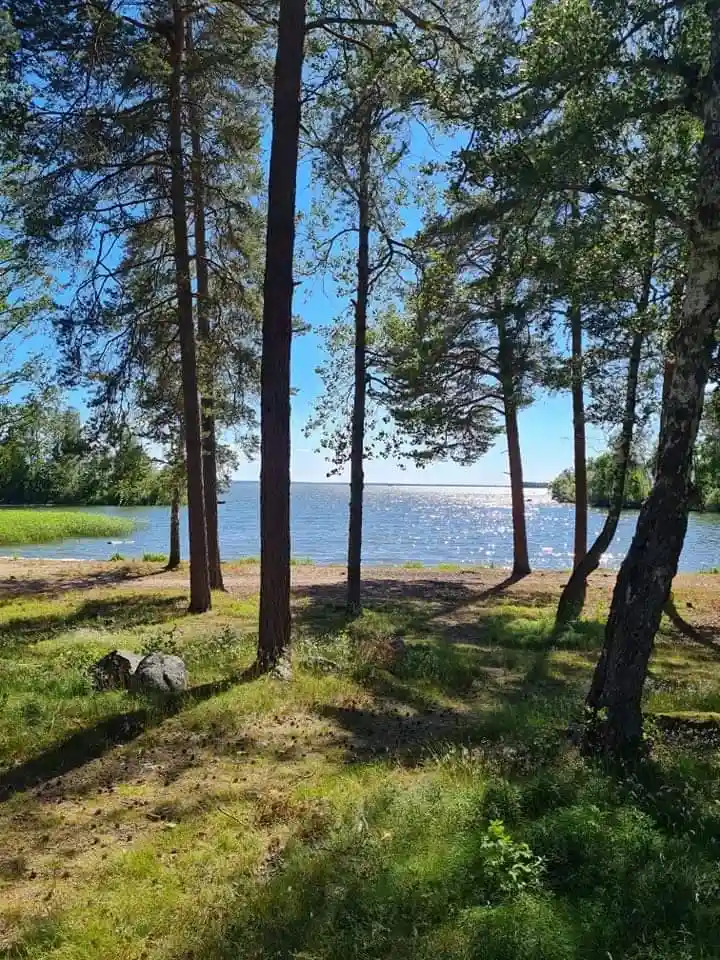 En naturskön vy vid Herrfallet AB: en blå himmel speglar sig över ett frodigt landskap med träd, gräs och växter längs en vattensamling.