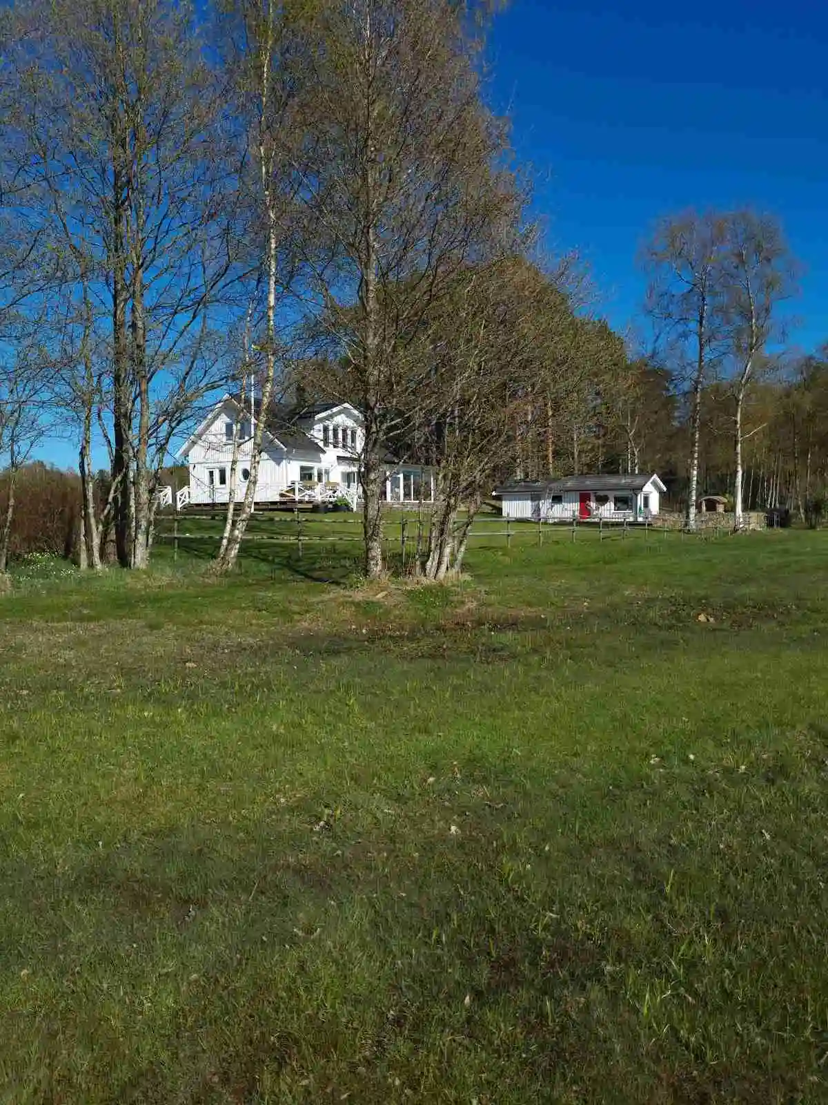 En grönskande campingplats med gräs, träd och buskar omger ett lantligt hus på Sikhalls camping.