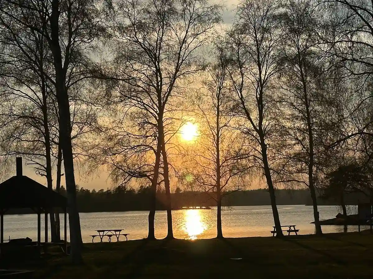Bild av en naturskön vy vid Alsterbro Camping, tagen i skymningen. Solens varma, orangea ljus sipprar genom trädkronorna, vilket skapar ett rofyllt och harmoniskt landskap.