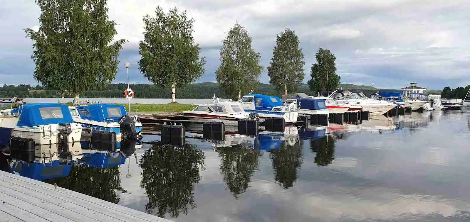 En lugn marina vid Hoverbergs camping med flera förtöjda motorbåtar och vacker utsikt över vattnet.