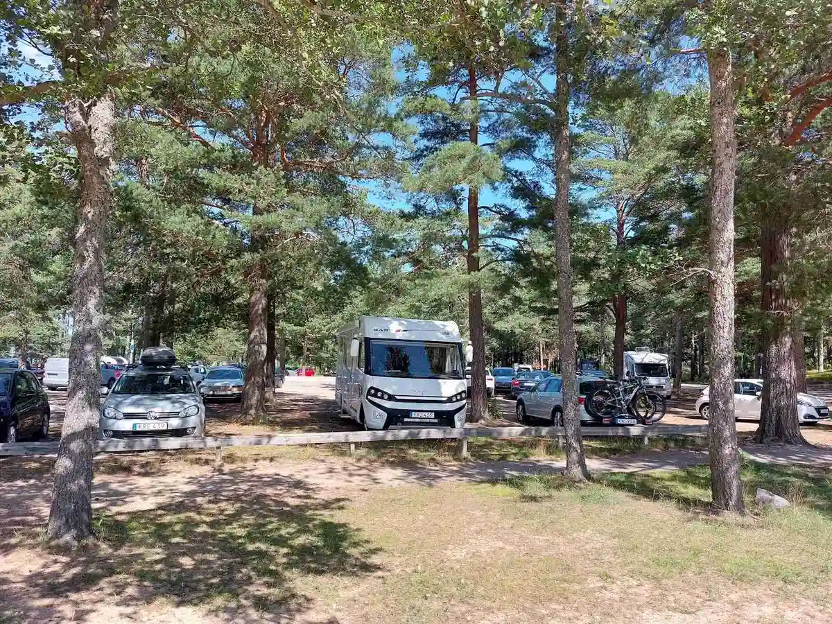 En campingplats med flera parkerade husbilar och bilar i närheten av träd. Parkeringen är full av olika typer av fordon, omgivna av grönska och campingområdets naturliga skönhet.