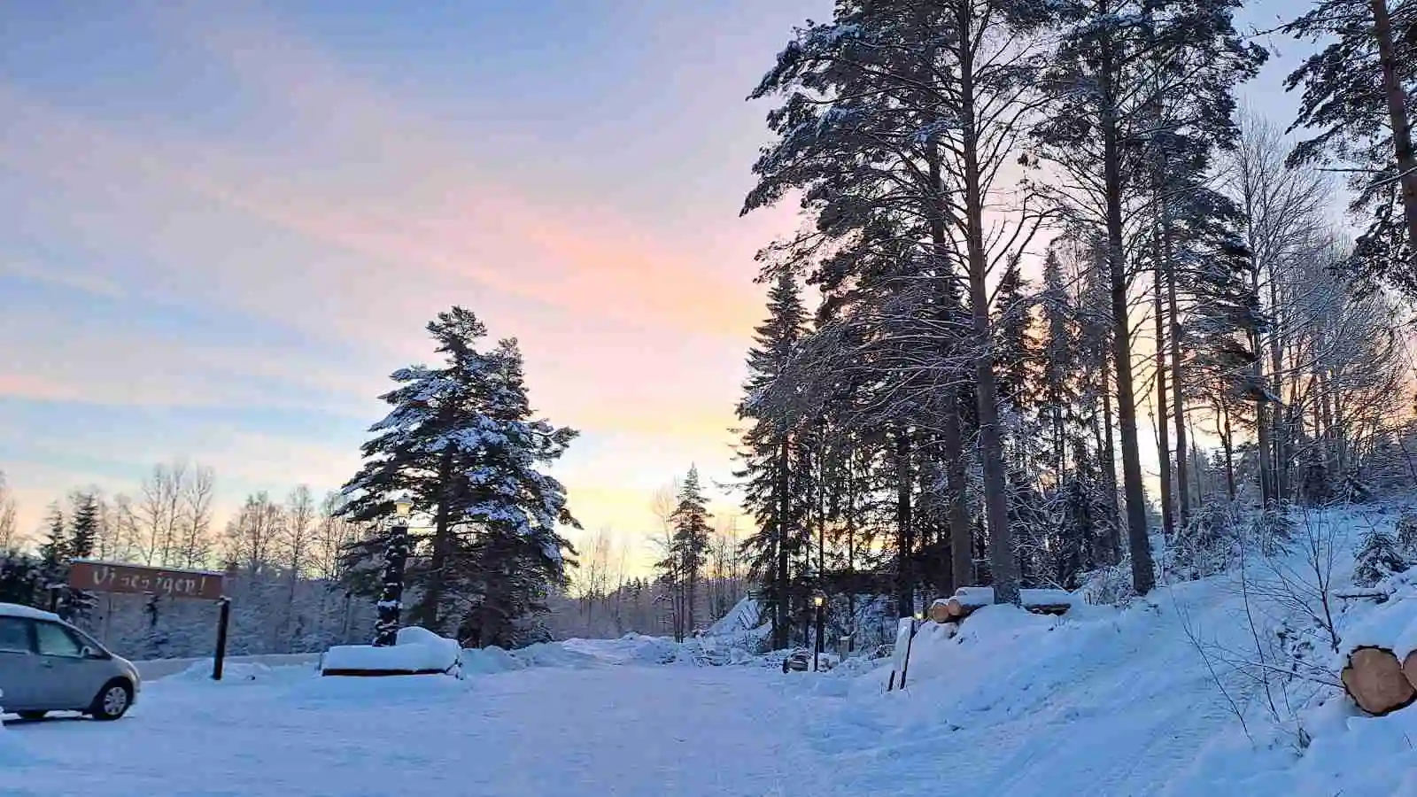 En vinterlandskapsscen vid Skålsjögården Timber Lodge, med snötäckta granar och lärkträd som sträcker sig upp mot en klar himmel.