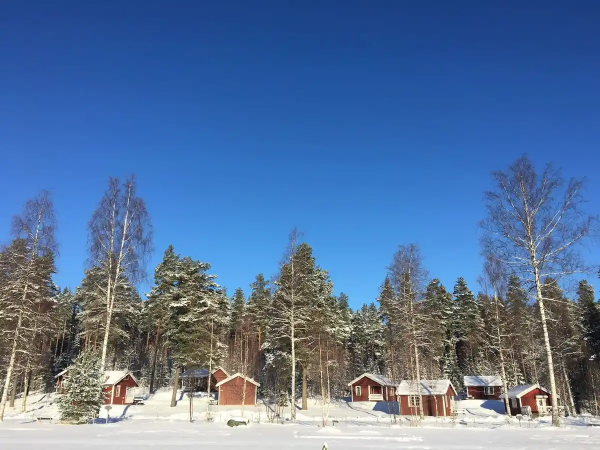 En snötäckt stuga vid Malingsbo camping omgiven av vintriga träd.