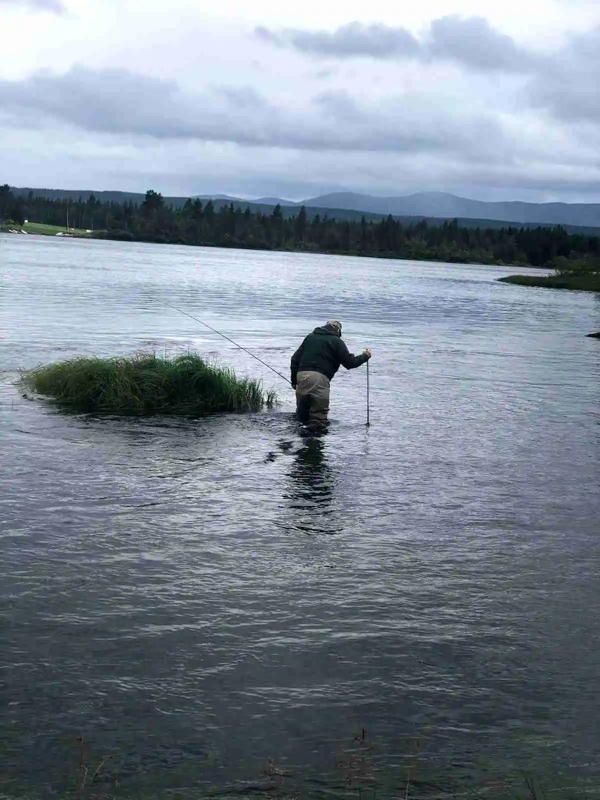 En fiskare står vid en flodbank på Kvissleströmmens fiskecamping, omgiven av klart vatten och frodig natur, med fokus på rekreationsfiske.