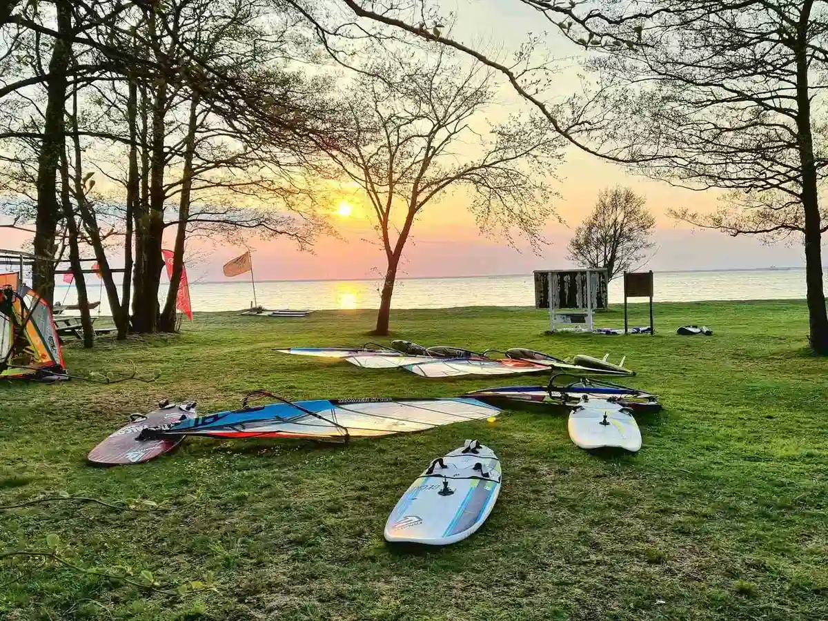 En solig dag vid Haga Park Camping & Stugor med en gräsbevuxen strandkant. En surfbräda står lutad mot skuggan av träden, medan kustlinjen och vattnet lockar till vattensporter och rekreation.
