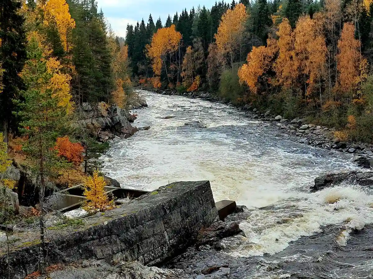 En forsande fjällbäck omgiven av klippor och natur vid Fällfors camping. Riparianzonerna visar vacker grönska runt vattenströmmen.