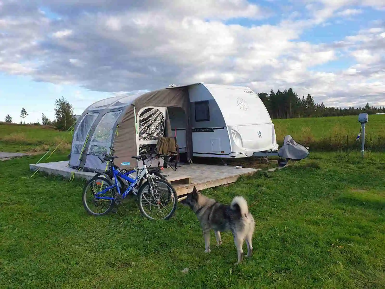 En rad husbilar och husvagnar uppställda på campingplatsen vid Kvissleströmmens fiskecamping, omgiven av grönska och naturskön miljö.