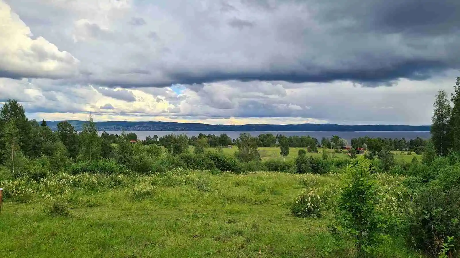En grönskande äng under en klarblå himmel med vita moln, omgiven av frodig vegetation. 