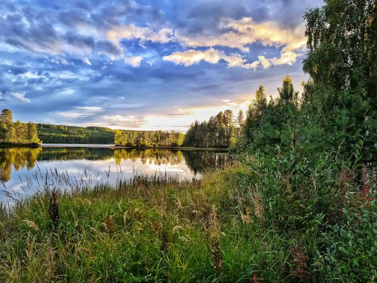 En vy över ett campingområde vid en sjö i Lappland, med klarblått vatten och himmel, omgiven av grönskande natur och lätta moln.