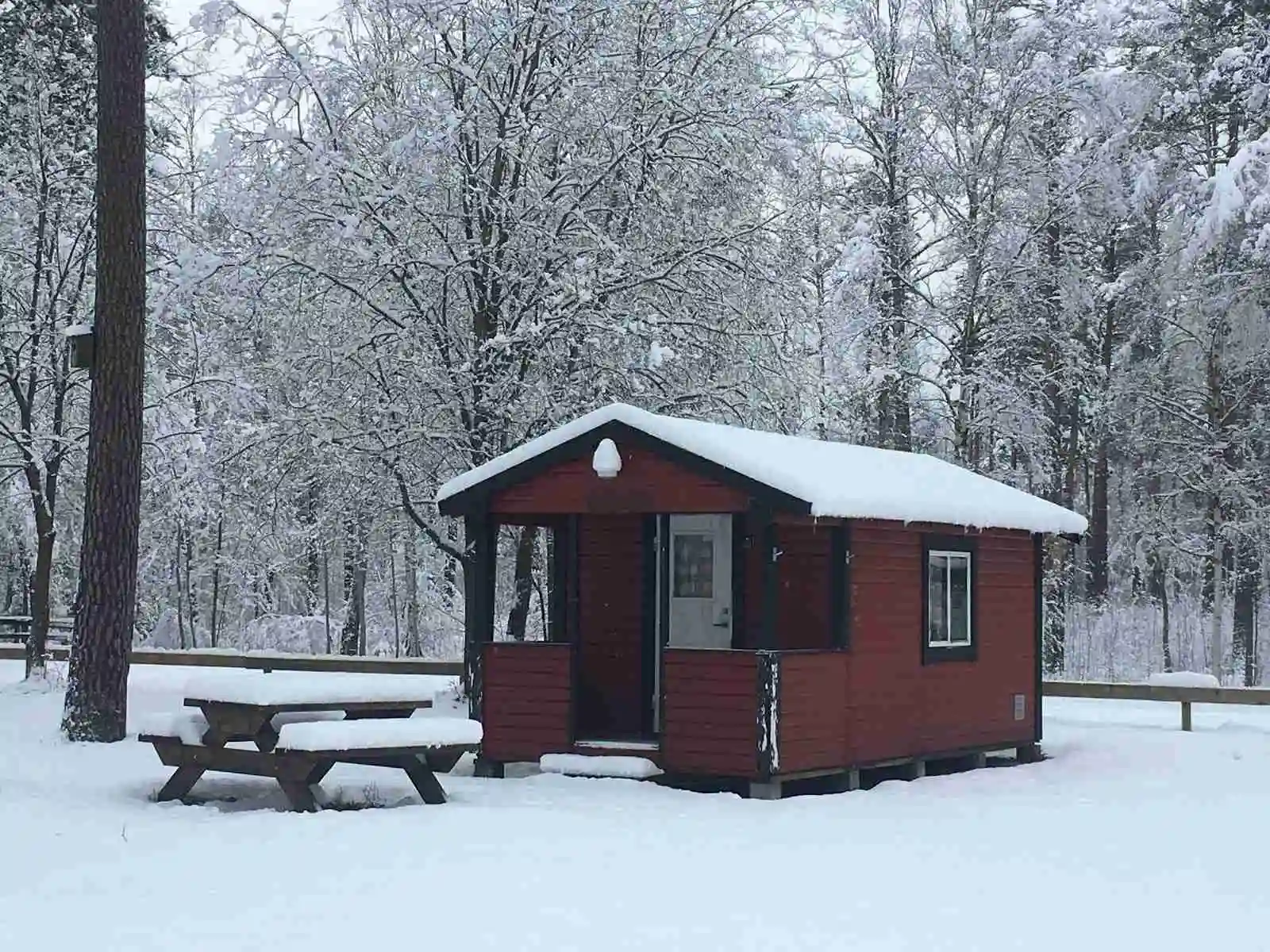 En snöklädd stuga av trä i vinterlandskapet på Norraryds camping, med istäckta träd och ett lugnt, kallt skogslandskap i bakgrunden.