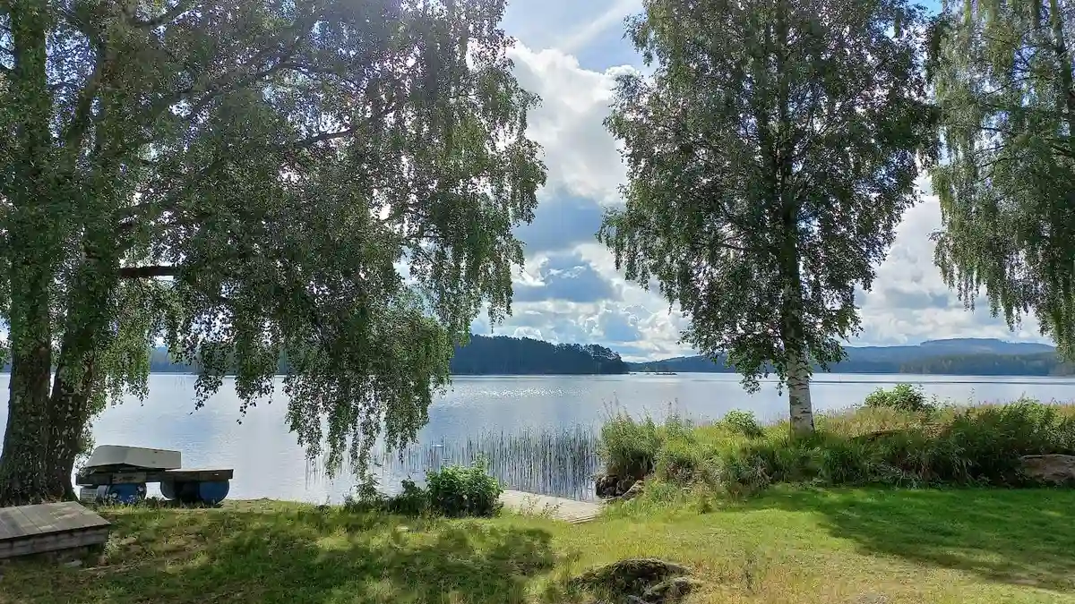 En somrig landskapsvy vid Värmlandsgården med en sjö omgiven av träd och växtlighet.