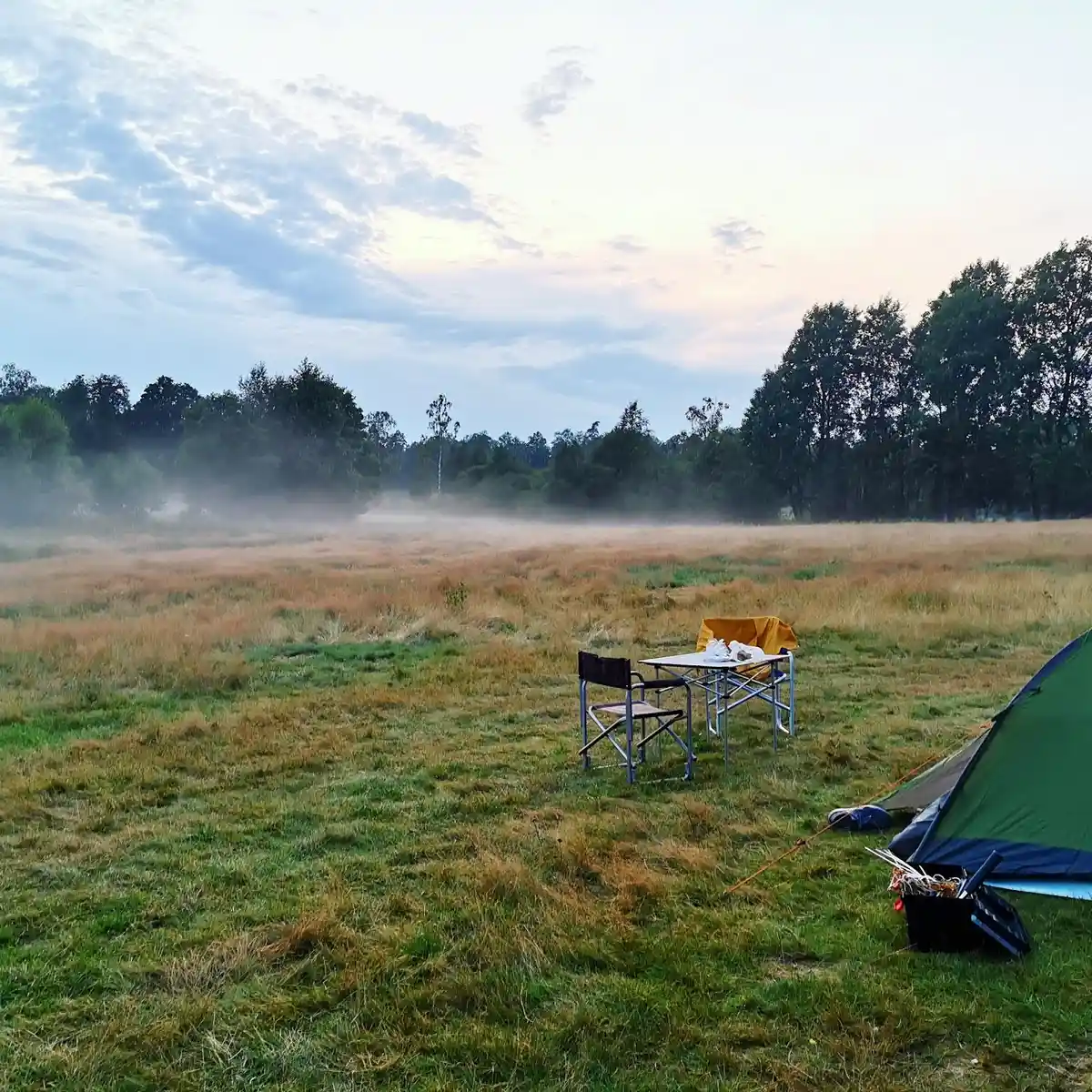 En vidsträckt äng vid Hallsjö vildmarkscamping, omgiven av gräs och blå himmel, lämplig för camping och utomhusaktiviteter i lantlig miljö.