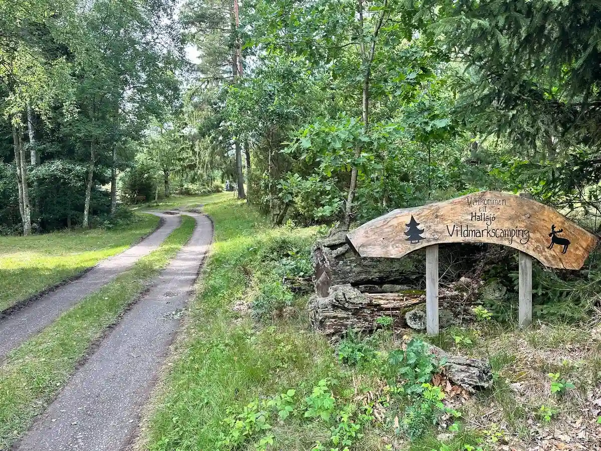 En naturskön stig omgiven av tät skog och gröna löv, med trädstammar som skapar en vildmarksatmosfär vid Hallsjö Vildmarkscamping.