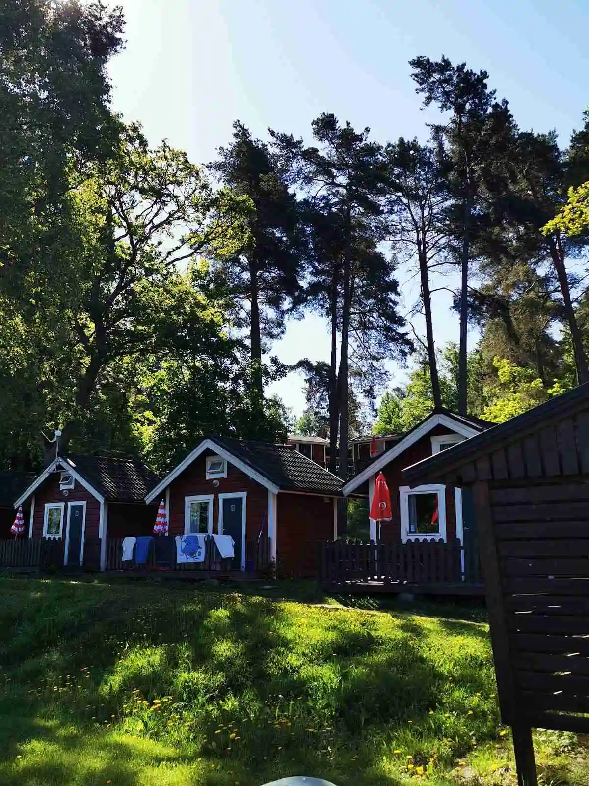 En grönskande vårscen vid Ängby Camping, med gräsbevuxna ytor och små stugor omgivna av träd och buskar i en parkmiljö.