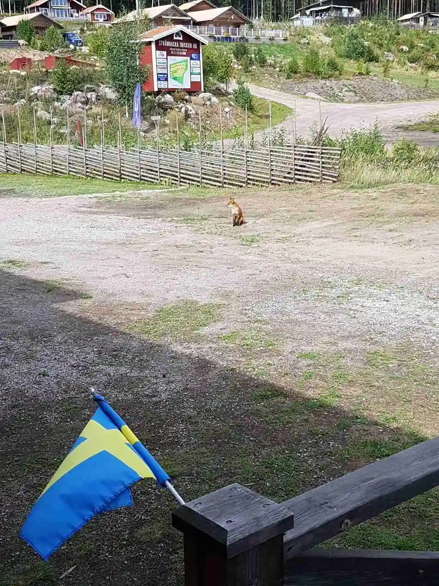 En grusväg leder genom Norra Dellens familjecamping, omgiven av ett staket och rekreationsområde.