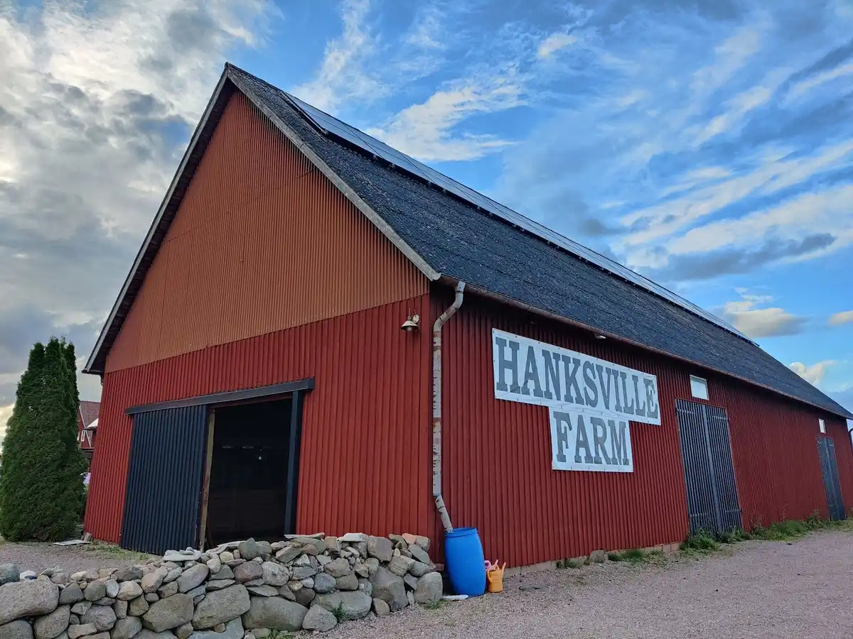En röd lada med vit sidor ligger i skugga på Hanksville Farm, omgiven av gröna ängar och med en liten förrådsbyggnad bredvid.
