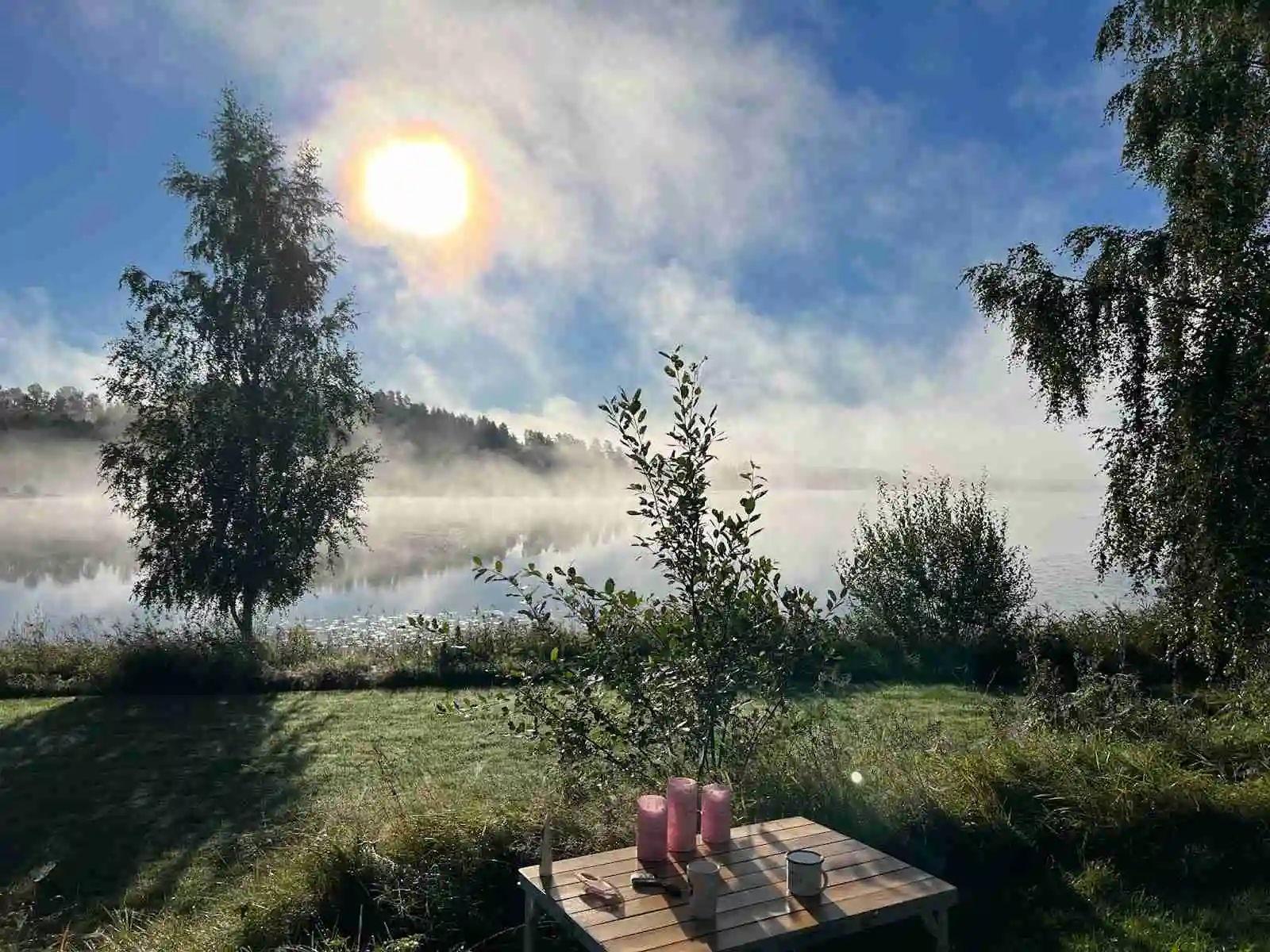 En dimmig morgon på en campingplats i Fristad, med träd och växter i bakgrunden. Ett utebord med stolar står på den gröna gräsmattan, omgivet av den naturliga trädgårdsmiljön.