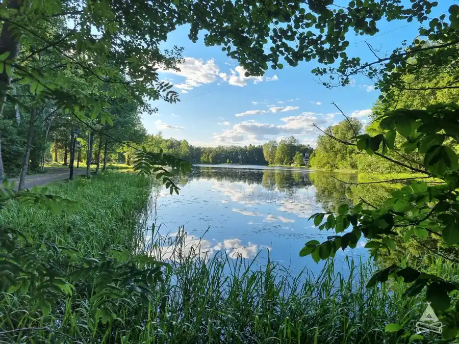 Upplev lugn och äventyr på Sofielund – en naturnära oas vid Sala Silvergruva, perfekt för alla säsonger och åldrar.