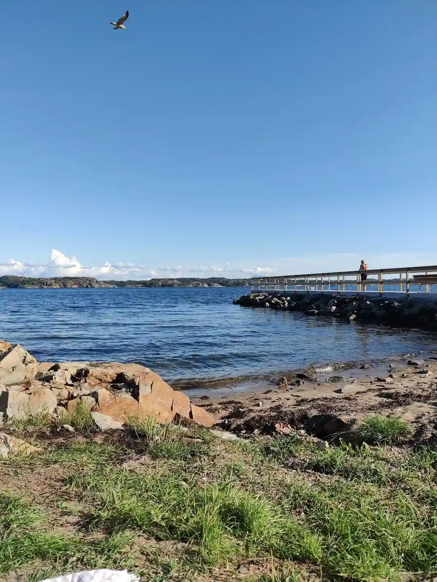 En naturskön bild av en sjö vid Löfgrens camping med klippiga stränder och en vidsträckt horisont.