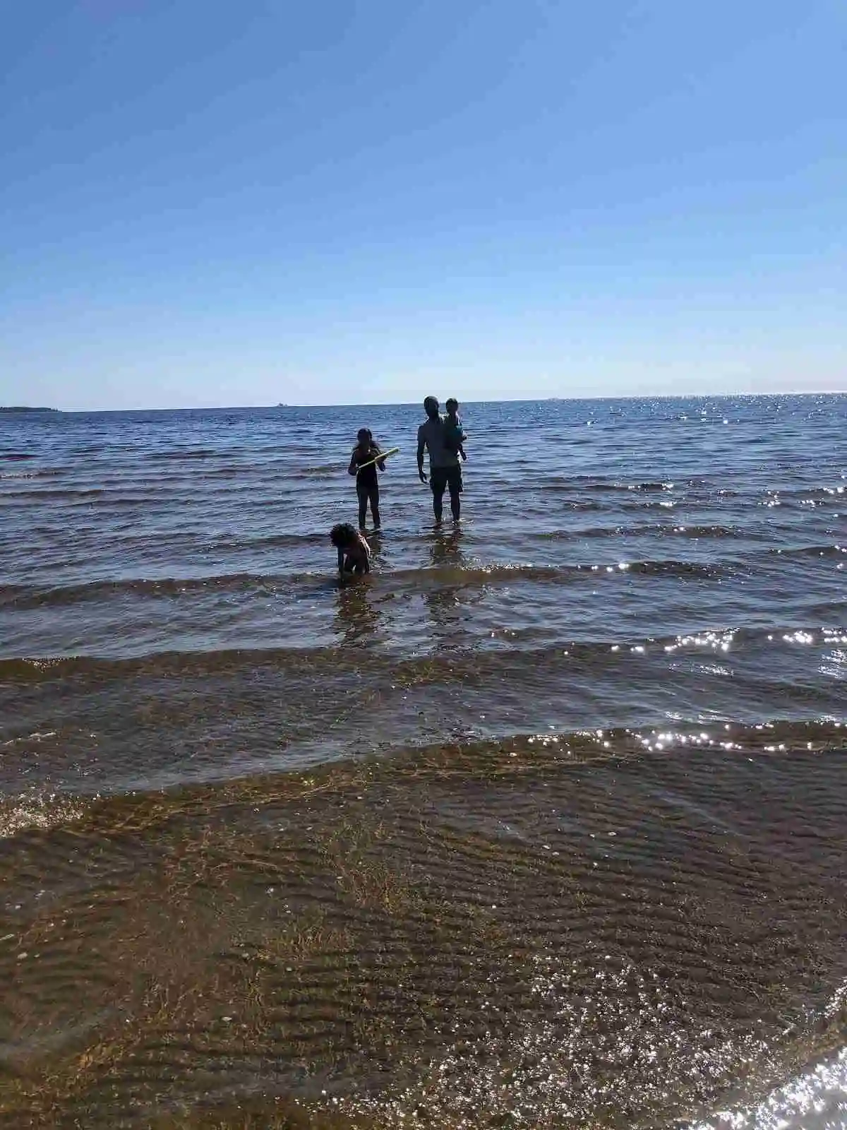 En solig dag vid kusten på Skellefteå Camping, med en sandstrand, havet i bakgrunden och människor som njuter av rekreation och avkoppling.